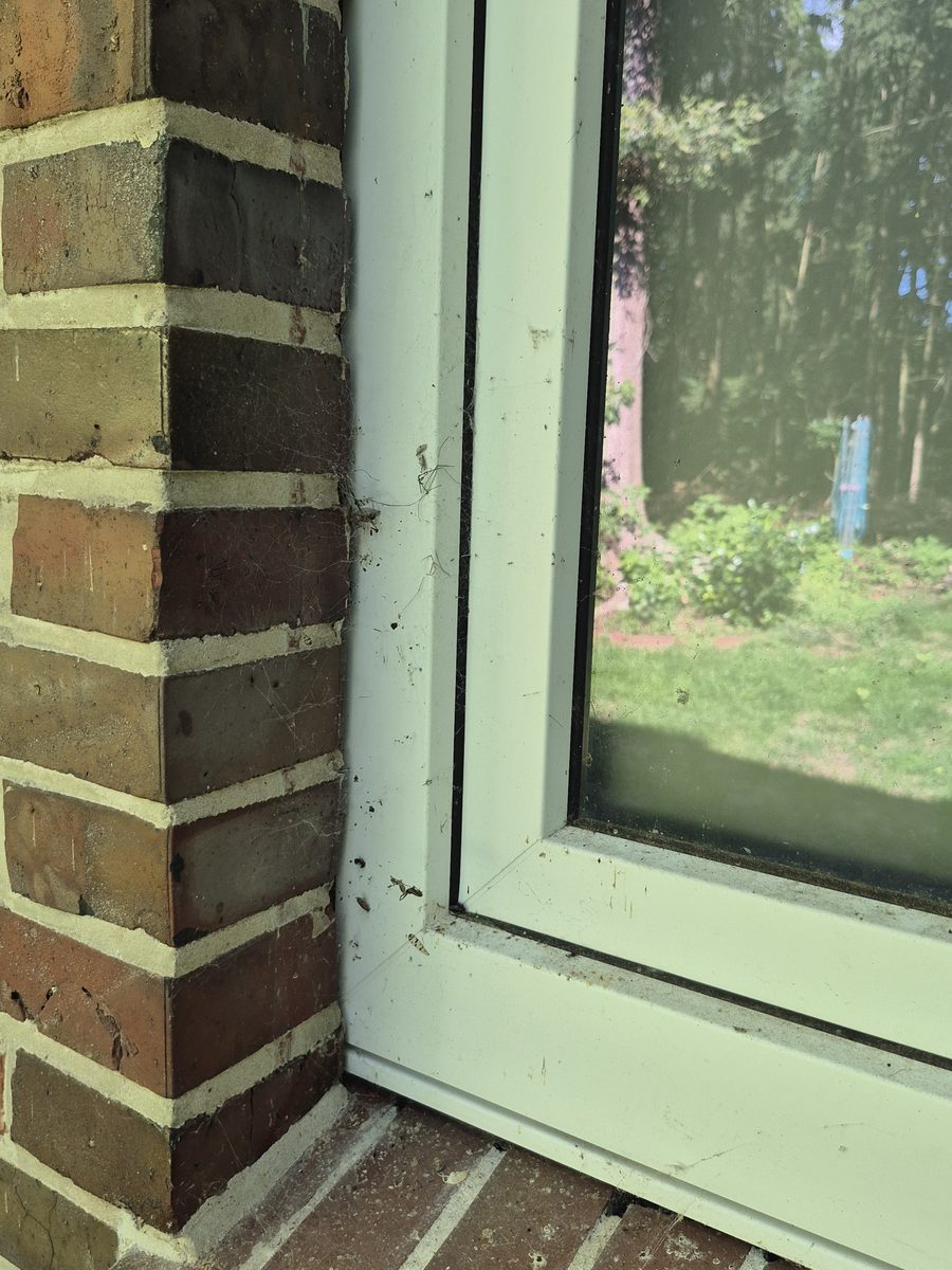 Fensterecke vor der Reinigung, mit Spinnweben und Staub